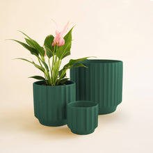 Load image into Gallery viewer, Monroe Planter | Rainforest: 4.5 inch