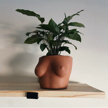 Load image into Gallery viewer, LARGE MILADY PLANTER: Multi-Colored