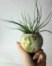 Load image into Gallery viewer, Quinn Square Colored Concrete Planter Vessel | Gold Leaf Pot: Pink navy white and rose gold / Regular