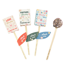 Load image into Gallery viewer, Garden + Gift Seed Planting Pop Collection With Stand