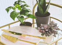 Load image into Gallery viewer, Pink Splash Plant - Live Plant: 3" Pot