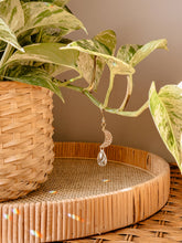 Load image into Gallery viewer, Plant Charm | Suncatcher + Moon | Houseplant Vine Jewelry