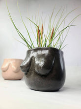 Load image into Gallery viewer, Concrete Lady Boob Pot Drain hole | Breast | Airplant Nipple: Black and pink crackle / No drain hole