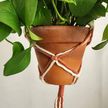 Load image into Gallery viewer, Dual Toned Beaded Plant Hanger for Indoor/Outdoor use : Set of 3: Mystic Combo