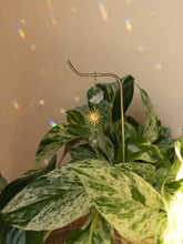 Load image into Gallery viewer, Plant Stake | Suncatcher + Sun Charm | Houseplant Accessory