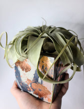 Load image into Gallery viewer, Quinn Square Colored Concrete Planter Vessel | Gold Leaf Pot: Pink navy white and rose gold / Regular