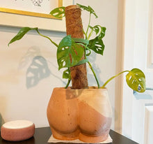 Load image into Gallery viewer, Large Booty Planter : Color layers ( we pick unless you specify)