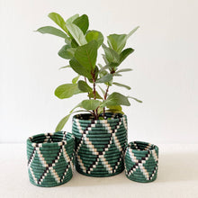 Load image into Gallery viewer, Storage Plant Basket (Set of 3): Kasuga