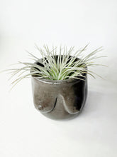 Load image into Gallery viewer, Concrete Lady Boob Pot Drain hole | Breast | Airplant Nipple: Black and pink crackle / No drain hole