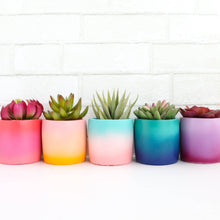 Load image into Gallery viewer, Gradient Cement Planter: Turquoise to Pink / XL