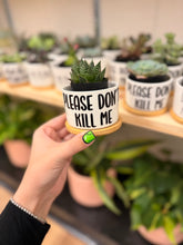 Load image into Gallery viewer, Mini Succulent Planter: Please Don't Kill Me