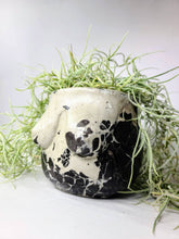 Load image into Gallery viewer, Concrete Lady Boob Pot Drain hole | Breast | Airplant Nipple: Maroon/Pink/rose gold foil / No drain hole