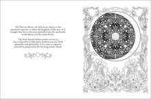 Load image into Gallery viewer, Believe in Magic by: Paperback; 96 pages / English