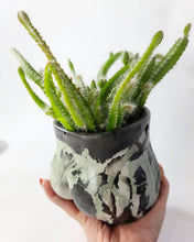 Load image into Gallery viewer, Concrete Lady Booty Pot | Butt Cheek Planter | Drain hole: Green/dark green/ gold