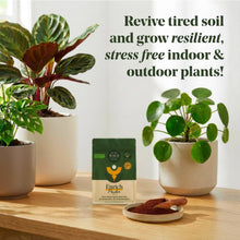 Load image into Gallery viewer, Enrich Organic Plant Food and Soil Amendment 14 oz
