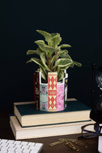 Load image into Gallery viewer, Desk Pot, Classic Books