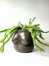 Load image into Gallery viewer, Concrete Lady Boob Pot Drain hole | Breast | Airplant Nipple: Black and pink crackle / No drain hole