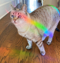 Load image into Gallery viewer, Crystal Suncatcher Window Decal