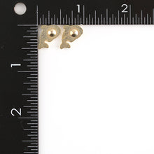 Load image into Gallery viewer, Orca Earrings
