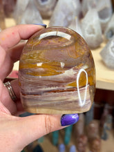 Load image into Gallery viewer, Petrified Wood
