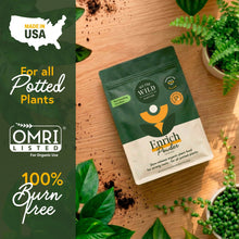 Load image into Gallery viewer, Enrich Organic Plant Food and Soil Amendment 14 oz
