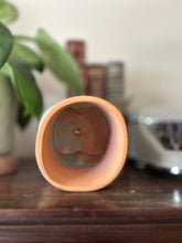 Load image into Gallery viewer, Booty Planter: Multi-Colored
