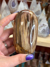 Load image into Gallery viewer, Petrified Wood
