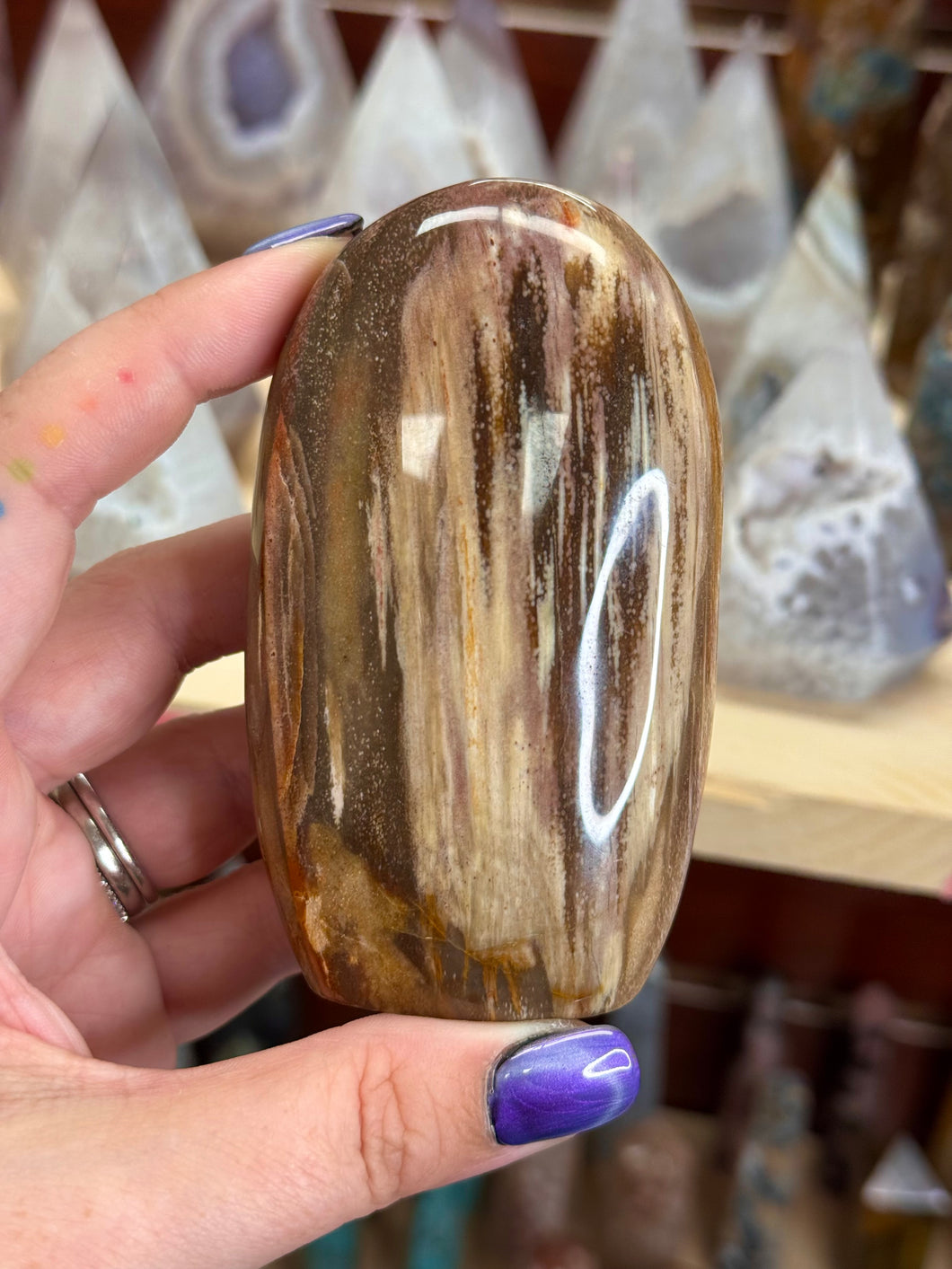 Petrified Wood