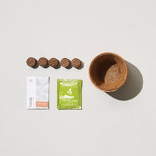 Load image into Gallery viewer, Tiny Terracotta Grow Kit: Live Well Lavender
