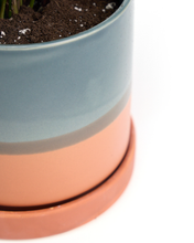 Load image into Gallery viewer, Minute Ceramic Planter Indoors  5 Inch Clay Terracotta Pot: Terracotta / 5&quot;
