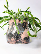 Load image into Gallery viewer, Concrete Lady Booty Pot | Butt Cheek Planter | Drain hole: Navy/pink/rose gold
