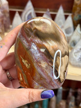 Load image into Gallery viewer, Petrified Wood
