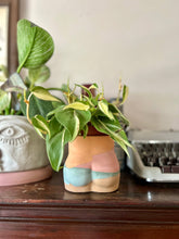 Load image into Gallery viewer, Booty Planter: Multi-Colored
