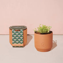 Load image into Gallery viewer, Tiny Terracotta Grow Kit: Live Well Lavender
