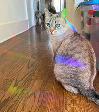 Load image into Gallery viewer, Crystal Suncatcher Window Decal
