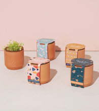 Load image into Gallery viewer, Tiny Terracotta Grow Kit: Live Well Lavender
