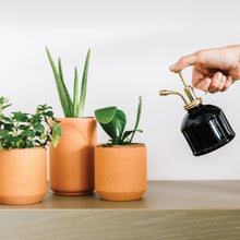 Load image into Gallery viewer, Tiny Terracotta Grow Kit: Good Luck Clover
