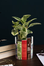 Load image into Gallery viewer, Desk Pot, Classic Books
