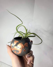 Load image into Gallery viewer, Quinn Square Colored Concrete Planter Vessel | Gold Leaf Pot: Green dark green tan and gold / Regular

