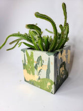Load image into Gallery viewer, Quinn Square Colored Concrete Planter Vessel | Gold Leaf Pot: Green dark green tan and gold / Regular

