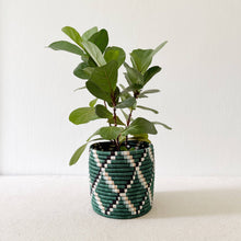 Load image into Gallery viewer, Storage Plant Basket (Set of 3): Kasuga
