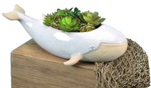 Load image into Gallery viewer, Sprouter Whale Planter
