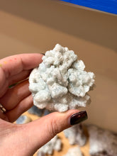 Load image into Gallery viewer, Celestite in Aragonite

