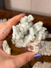 Load image into Gallery viewer, Celestite in Aragonite
