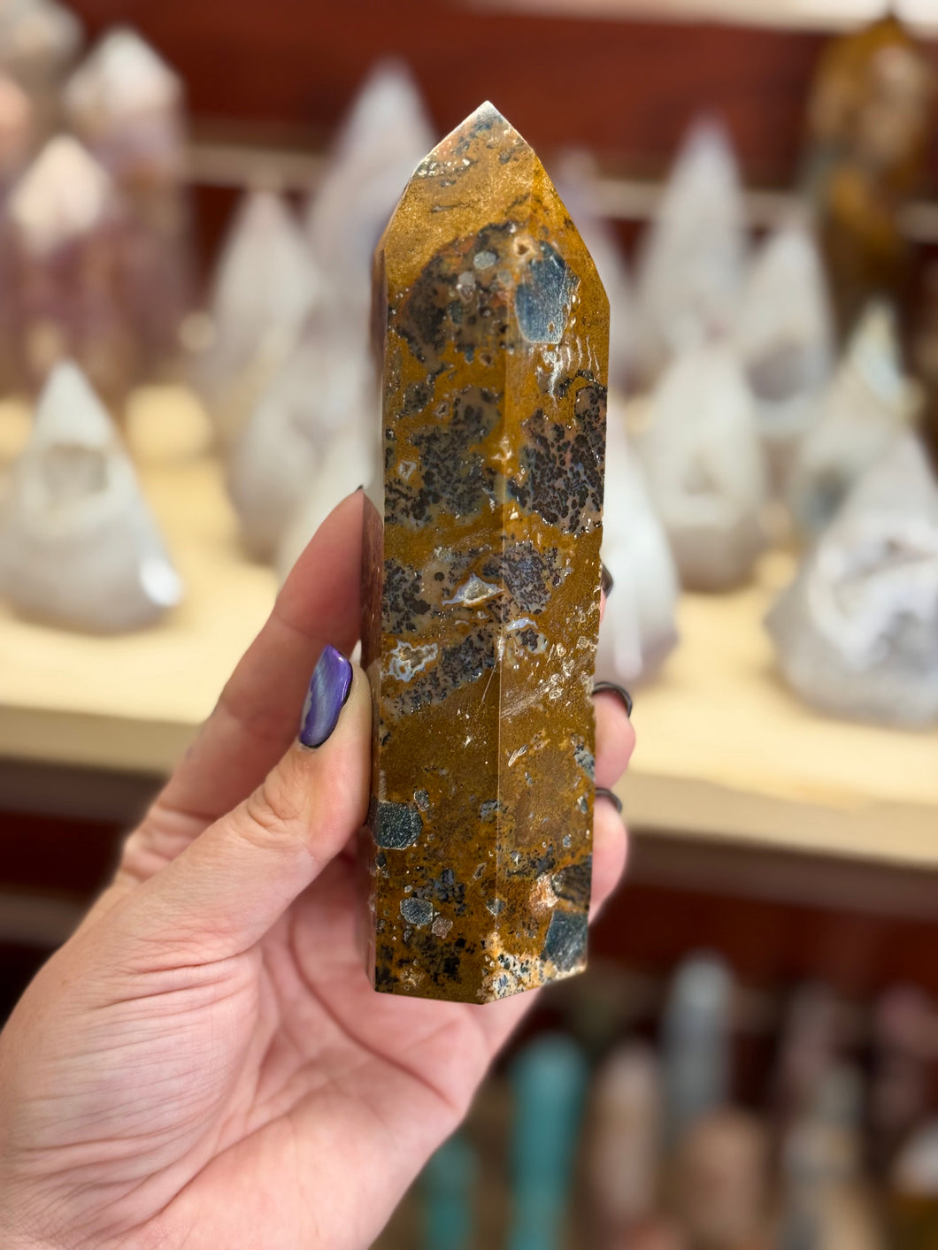 Apatite in Dendritic Jasper