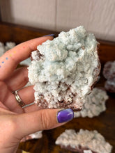 Load image into Gallery viewer, Celestite in Aragonite
