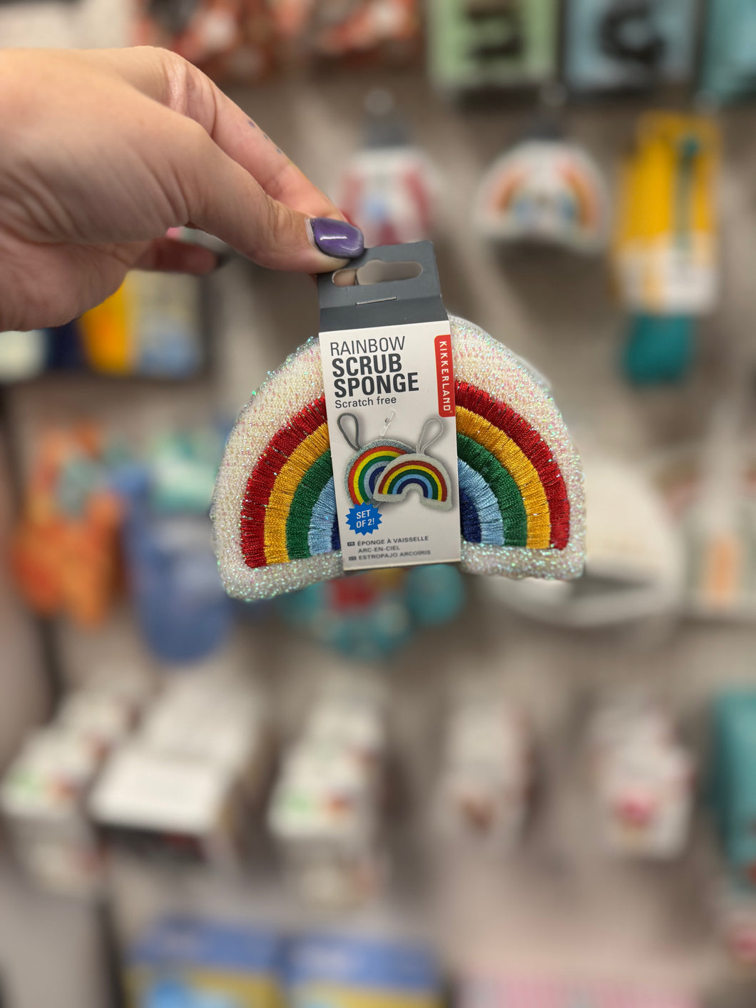 Rainbow Scrub Sponges