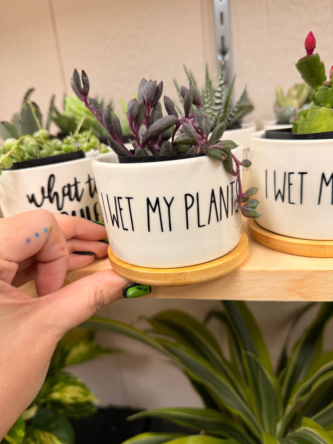 Mini Succulent Planter: I Wet My Plants