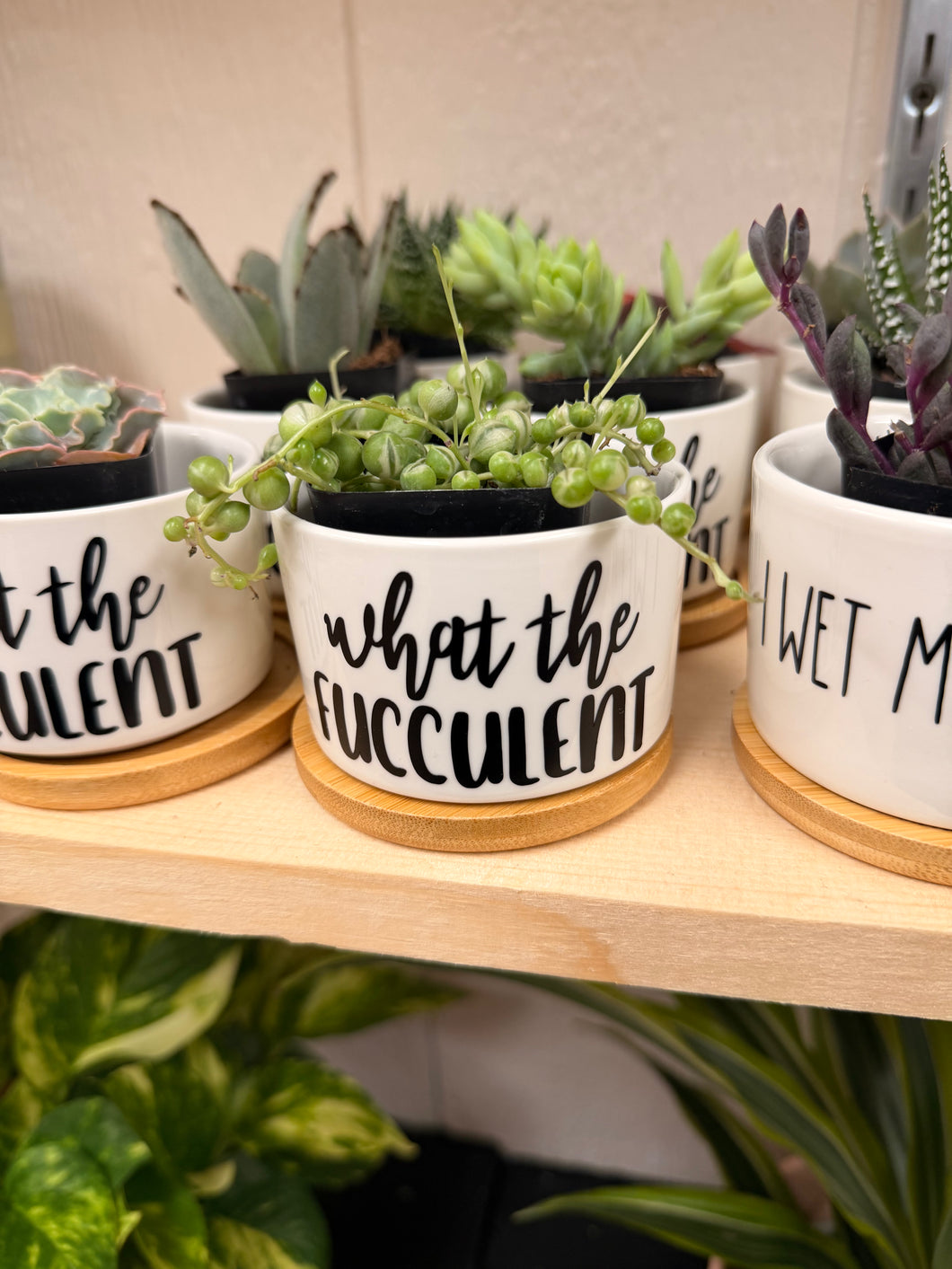 Mini Succulent Planter: What the fucculent