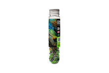 Load image into Gallery viewer, Sea Turtle - Marine Life
